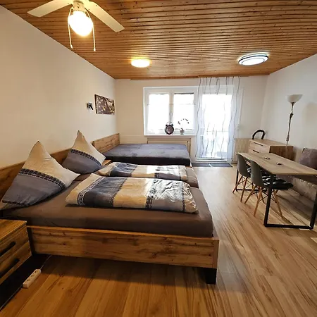 Haus Erika 4*