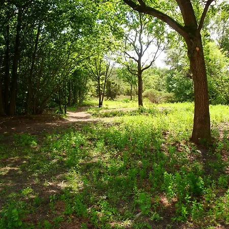 Haus Erika Affittacamere